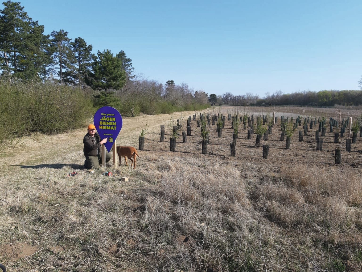 Beginn der Lebensraumverbesserung 2018