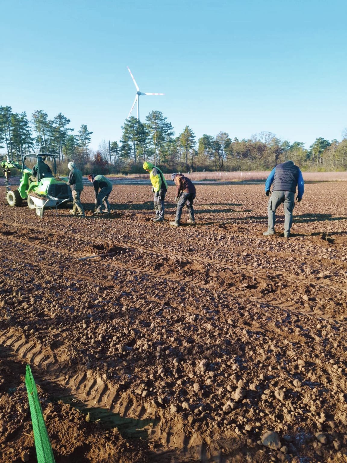 Lebensraumverbesserung