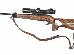 Blaser