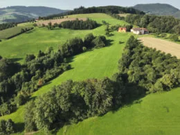 Landschaftsbild