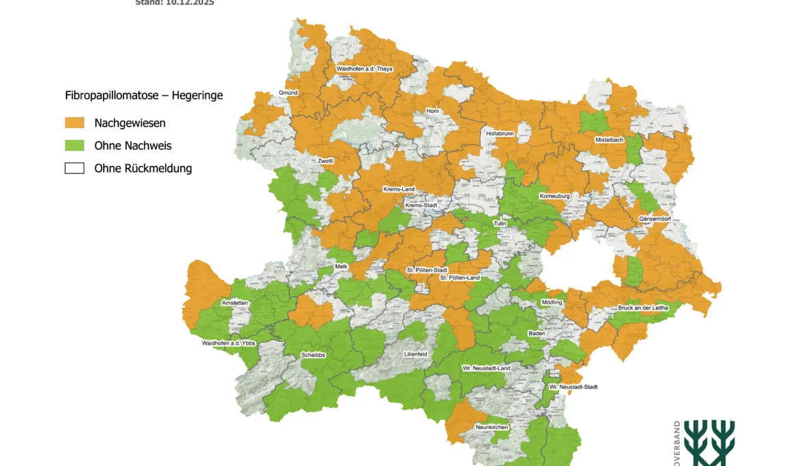 Sichtungen der Fibropapillomatose bei Rehen in Nieder&ouml;sterreich