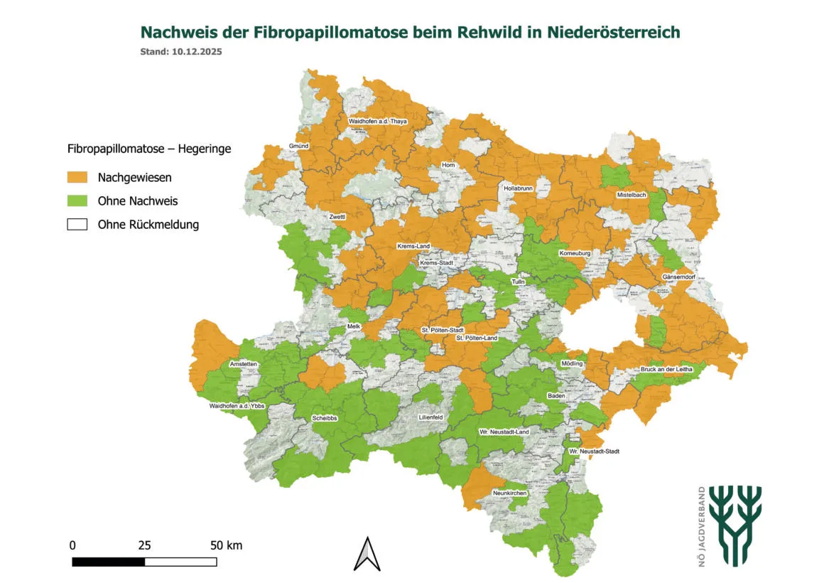 Sichtungen der Fibropapillomatose bei Rehen in Nieder&ouml;sterreich