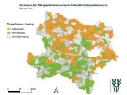 Sichtungen der Fibropapillomatose bei Rehen in Niederösterreich