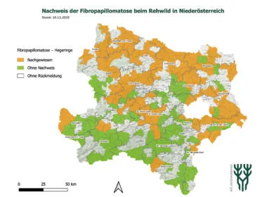 Sichtungen der Fibropapillomatose bei Rehen in Nieder&ouml;sterreich