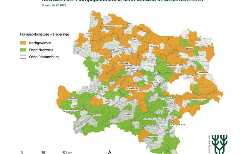 Sichtungen der Fibropapillomatose bei Rehen in Nieder&ouml;sterreich