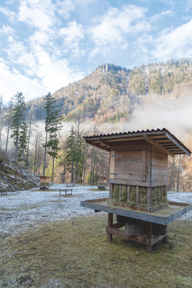 Fütterung